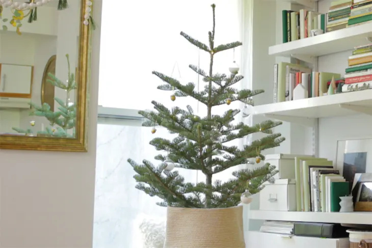 12 רעיונות חכמים לעץ חג המולד מינימליסטי לכל סוג של בית