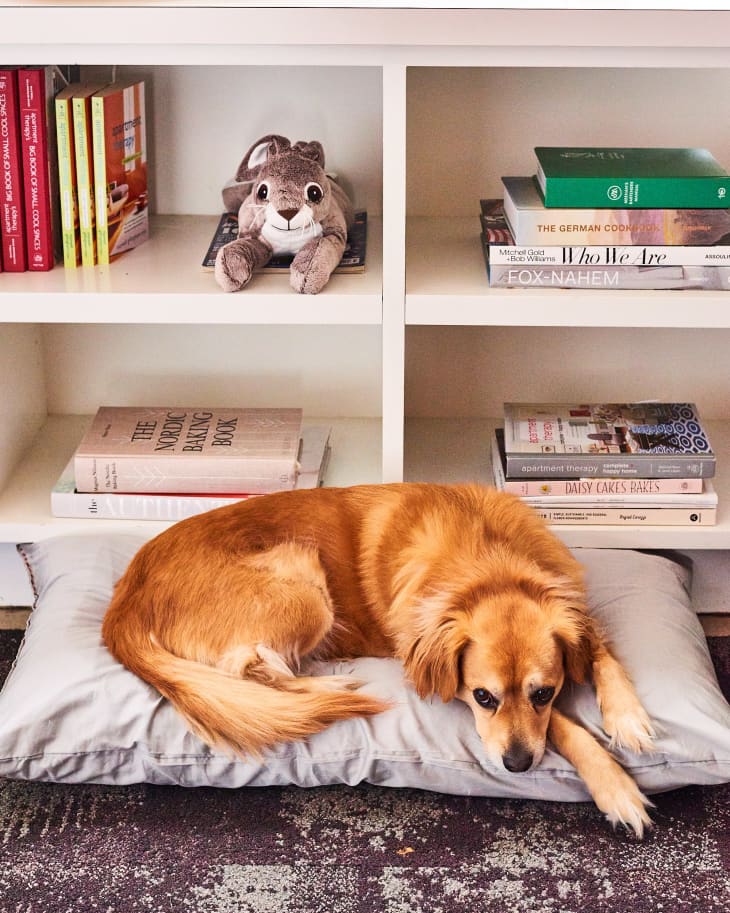 10 странни начина за възглавници за легло могат да решат вашите проблеми