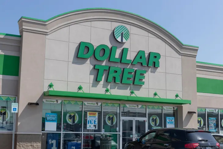 Ако забележите този „разкошен“ декор за $1 в Dollar Tree, вземете го