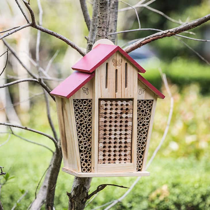 Можете да помогнете за спасяването на пчелното население с тази очарователна пчелна къща от Costco