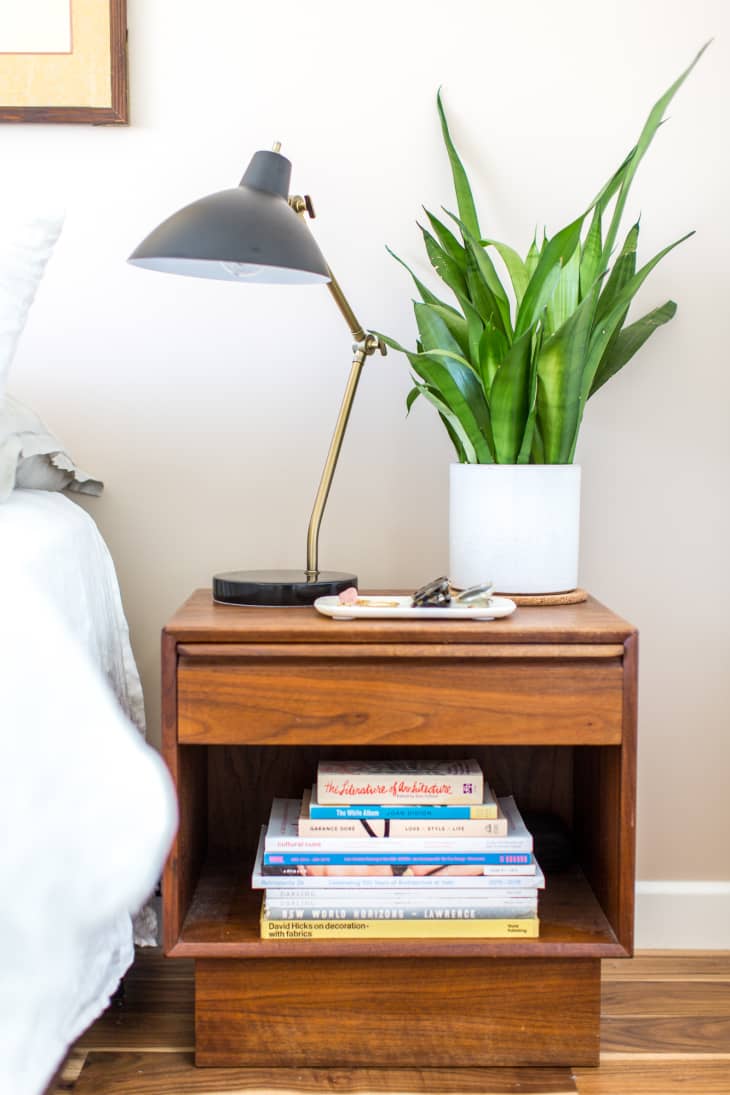 Все, что нужно знать о том, как сохранить растения в своей комнате в общежитии