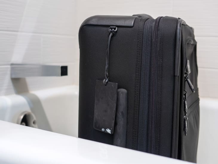 Aquest entomòleg té una advertència de viatge: poseu sempre la maleta al bany de l'hotel