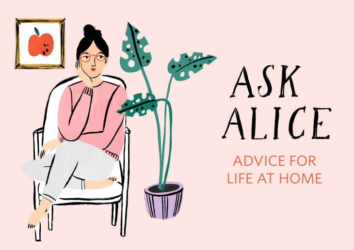 Fråga Alice: Jag vill att min pojkvän ska flytta in, men inte hans grejer
