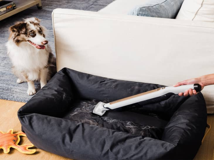 Тази ултрамощна прахосмукачка 3 в 1 предпазва подовете ми без кучешки косми (и прави почистването ТОЛКОВА удобно!)