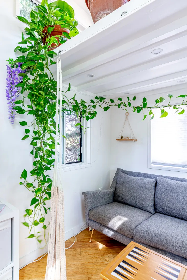 Хакът за $10, който превърна моите стайни растения в красив декор за стена