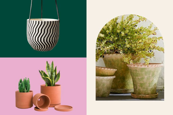 Най-добрата кашпа (или поставка за растения) за вашия стил на декорация, според интериорни дизайнери