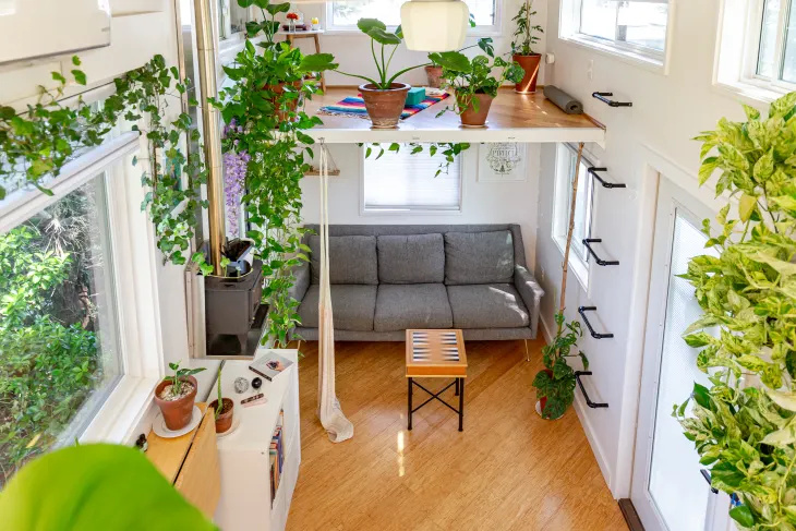 이 TikToker는 이 24달러 Amazon Find를 사용하여 실내 식물 벽을 만들었습니다.