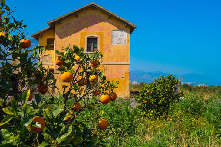 Vad händer egentligen när ett hus i Italien går ut på marknaden för $1