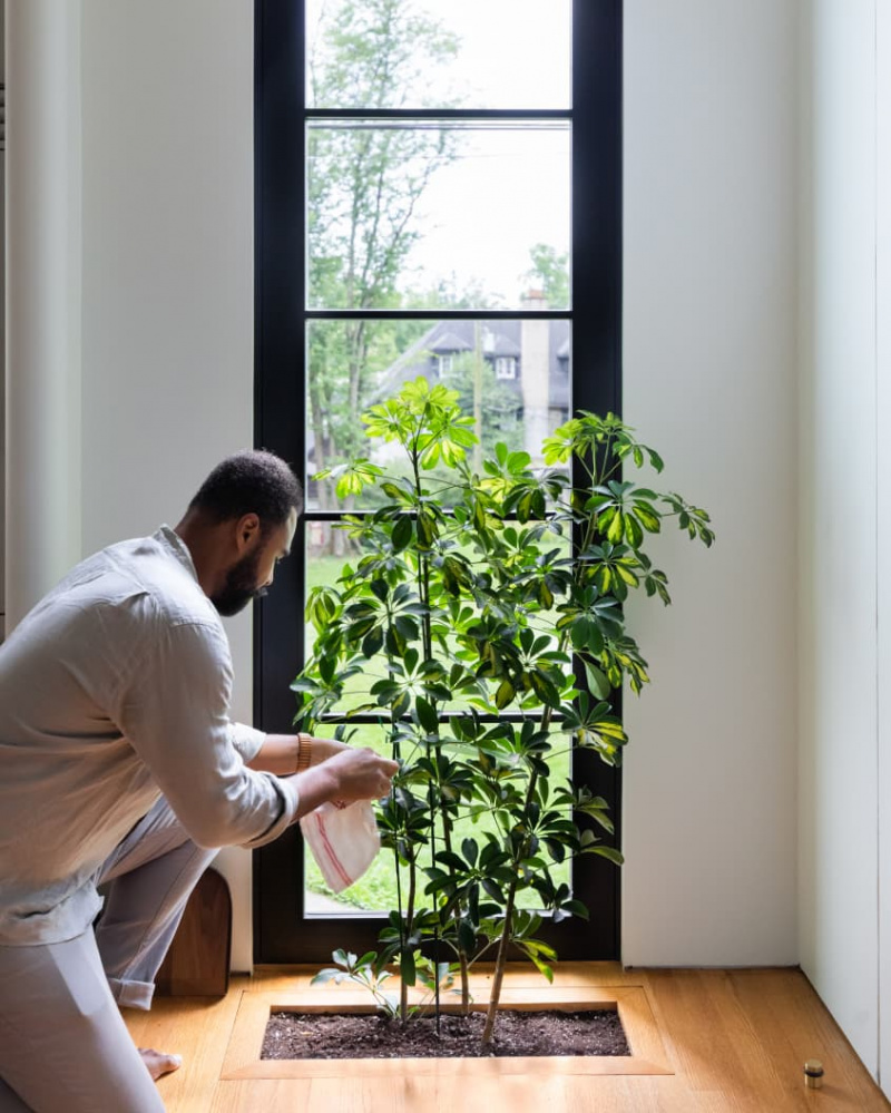 Hilton Carters Sunny Baltimore Home har nästan 300 krukväxter – inklusive en som växer upp ur golvet