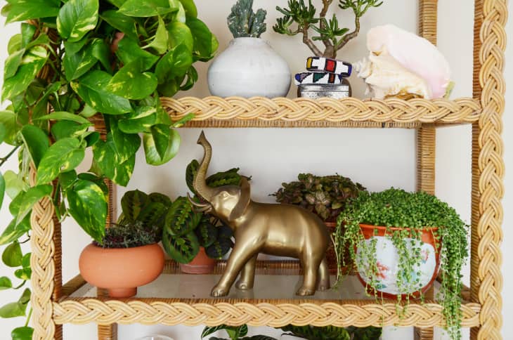 8 Oväntade sätt att dekorera med växter