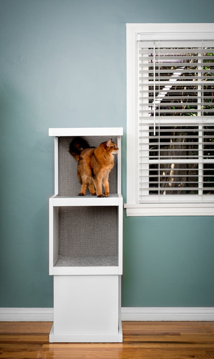 Táto zbierka moderného nábytku pre mačky je nevkusne štýlová