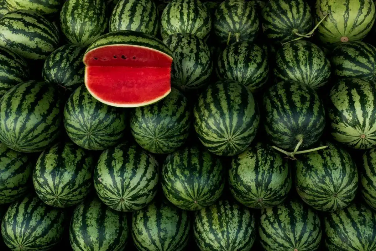 Ako vybrať dokonalý melón: Tipy na sladký a šťavnatý zážitok