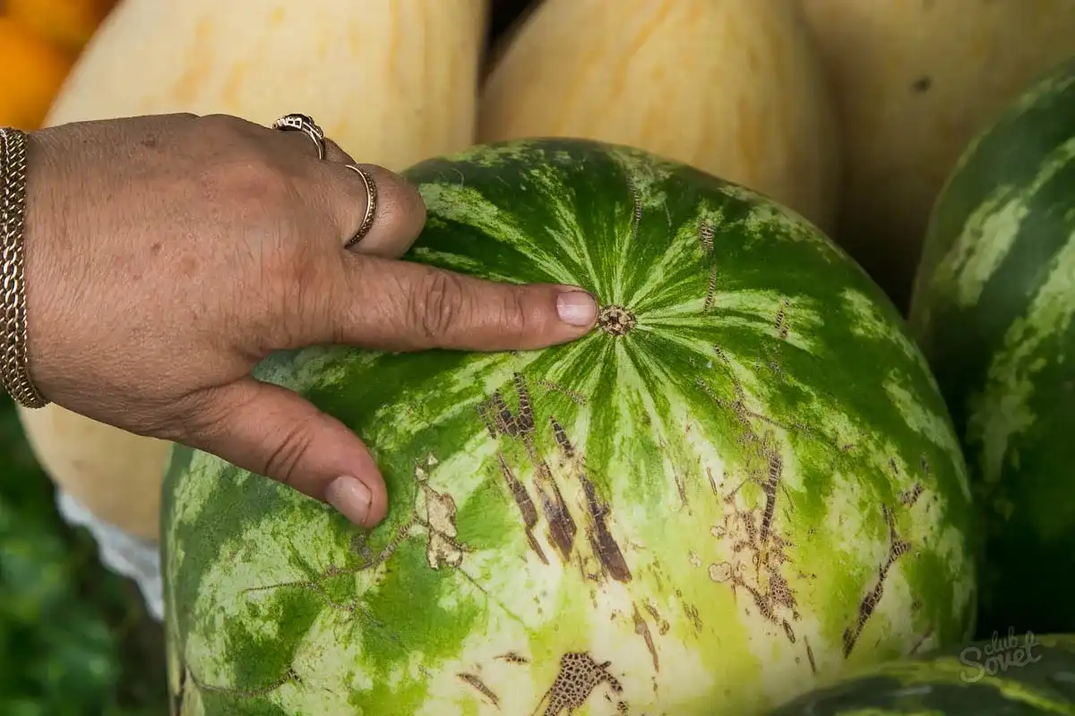 Ako vybrať dokonalý melón: Tipy na sladký a šťavnatý zážitok